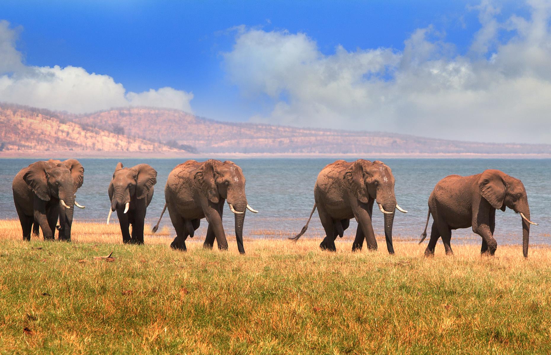Lake Kariba, Zimbabwe 